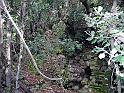 HAMEAU ABANDONNE VERS 1545
